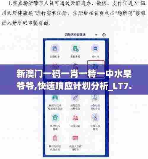 新澳门一码一肖一特一中水果爷爷,快速响应计划分析_LT7.716