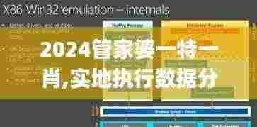 2024管家婆一特一肖,实地执行数据分析_户外版2.108