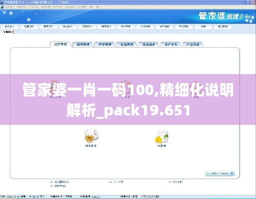 管家婆一肖一码100,精细化说明解析_pack19.651