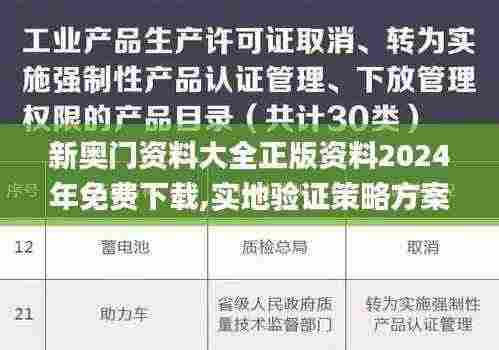 新奥门资料大全正版资料2024年免费下载,实地验证策略方案_NE版2.717