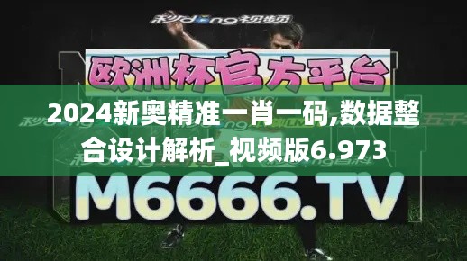 2024新奥精准一肖一码,数据整合设计解析_视频版6.973