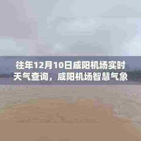 咸阳机场智慧气象助手，重塑飞行前准备体验，实时天气查询助您轻松出行