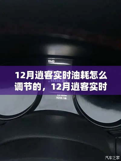 12月逍客实时油耗调节策略详解，如何调节与解析