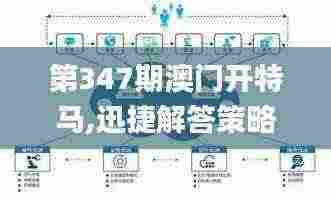 第347期澳门开特马,迅捷解答策略解析_体验版3.852