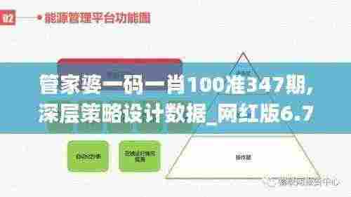 管家婆一码一肖100准347期,深层策略设计数据_网红版6.727