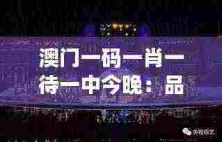 澳门一码一肖一待一中今晚：品味澳门的独特夜生活