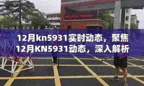 聚焦12月KN5931实时动态，深入解析与观点阐述
