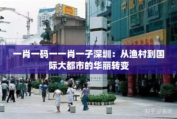 一肖一码一一肖一子深圳：从渔村到国际大都市的华丽转变
