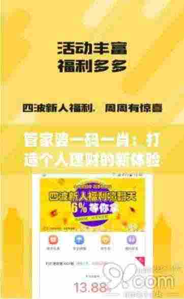 管家婆一码一肖：打造个人理财的新体验