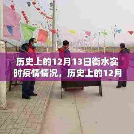 历史上的12月13日衡水实时疫情概况与深度分析