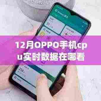 揭秘十二月OPPO手机CPU实时数据查看指南，轻松掌握手机性能动态