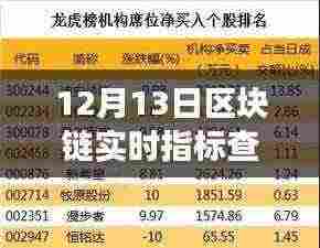 12月13日区块链实时指标查询指南，洞悉行业趋势，把握投资机会