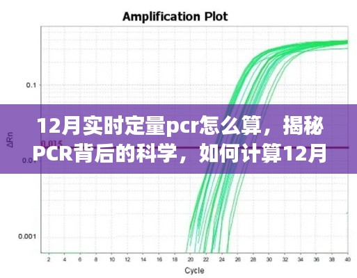 揭秘PCR背后的科学，如何计算12月的实时定量PCR数据解析与算法解析