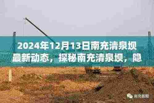 南充清泉坝独特小店最新动态揭秘，隐藏在巷陌深处的秘密（2024年12月13日更新）