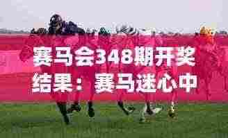 赛马会348期开奖结果：赛马迷心中的激情与期待