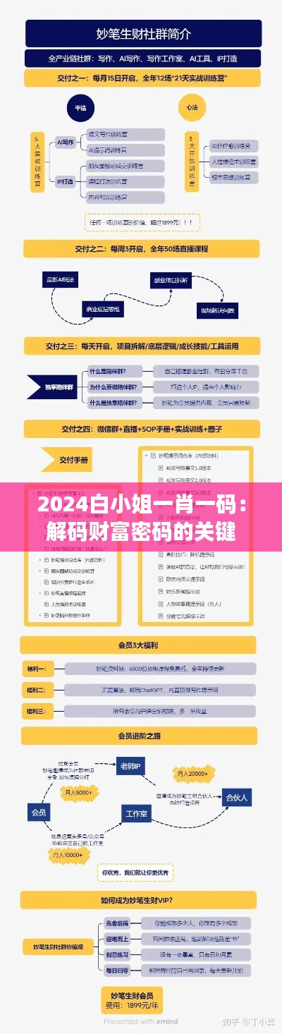 2024白小姐一肖一码：解码财富密码的关键