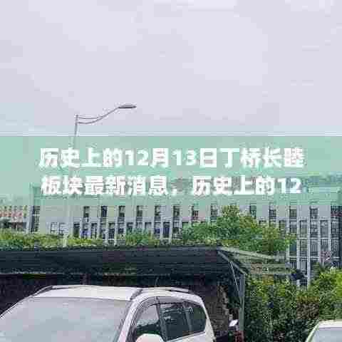 历史上的12月13日丁桥长睦板块动态及最新消息解读速递