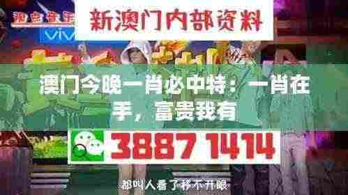 澳门今晚一肖必中特：一肖在手，富贵我有