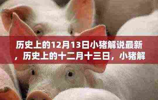 绝无仅有 第5页