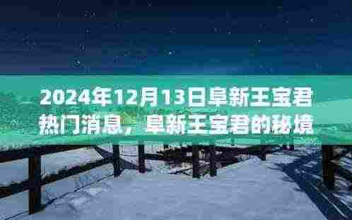 阜新王宝君，秘境之旅揭秘自然美景，寻找内心平静之旅（日期，XXXX年XX月XX日）
