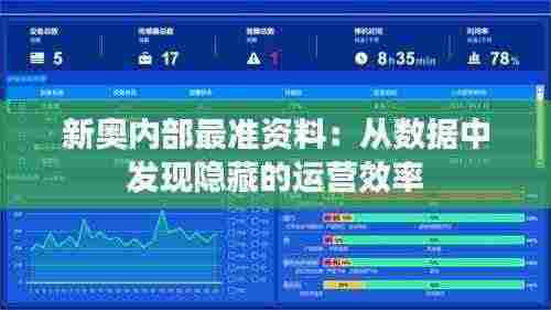 新奥内部最准资料：从数据中发现隐藏的运营效率