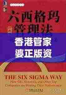 香港管家婆正版资料图一348期：追求卓越，塑造经典