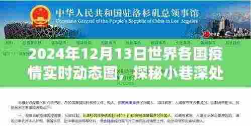 全球疫情动态追踪，探秘特色小店与实时疫情地图的交汇点（2024年12月13日）