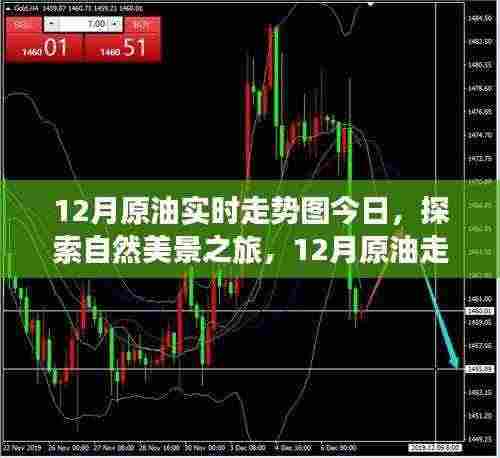 12月原油走势图解析，自然美景背后的宁静力量与微笑启程
