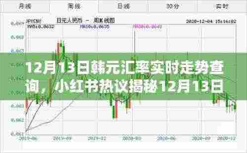 掌握金融动态，揭秘12月13日韩元汇率实时走势，小红书热议最新汇率走势查询！