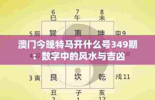 澳门今晚特马开什么号349期：数字中的风水与吉凶