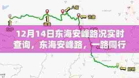 东海安峰路实时路况查询，温情满溢的同行之旅