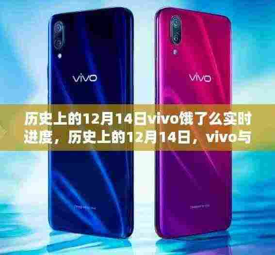 vivo与饿了么携手共进，历史上的12月14日实时进度回顾