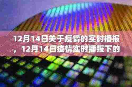 关于疫情的实时播报，从某某观点看疫情发展下的观察与思考（12月14日）
