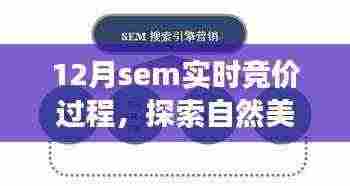12月SEM实时竞价盛宴，探索自然美景之旅，寻觅内心宁静与平和的旅程