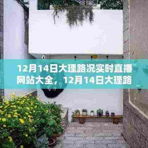 12月14日大理路况实时直播网站大全，出行好帮手