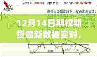 最新实时数据报告，深度解析12月14日期权期货市场动态