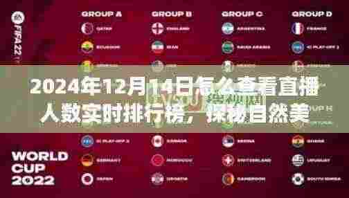 揭秘直播人气巅峰，2024年12月14日直播人数实时排行榜，探寻自然美景之旅的心灵共舞