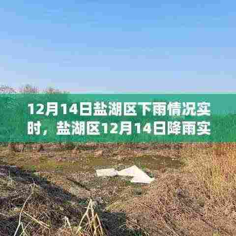 盐湖区降雨实况分析，12月14日雨情实时报道