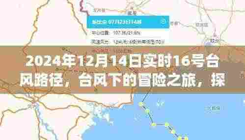 台风下的冒险之旅，探寻自然美景与内心宁静的旅程——2024年台风实时路径追踪