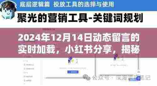 揭秘小红书实时留言动态加载，探寻2024年12月14日的魅力分享