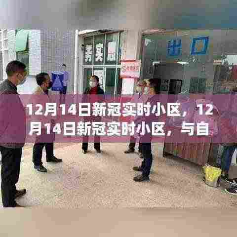 12月14日新冠实时小区，自然美景中的内心平和之旅