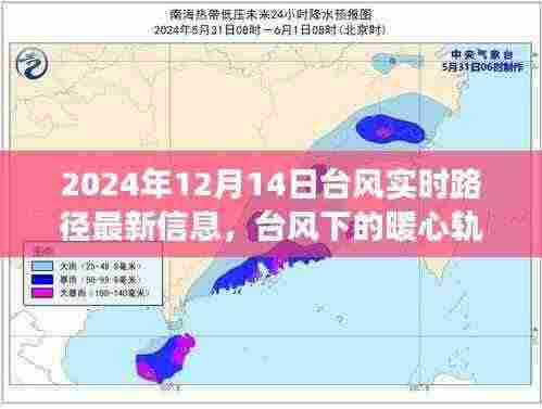 台风下的暖心轨迹，台风实时路径更新与友情冒险的日常