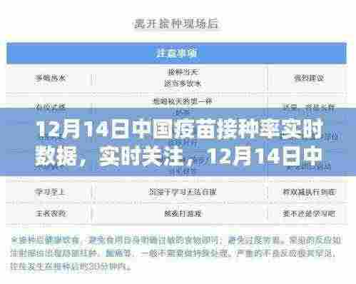 12月14日中国疫苗接种率实时数据与解析
