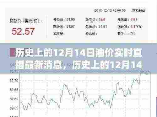 历史上的油价风云变幻，揭秘12月14日油价实时直播最新消息一网打尽