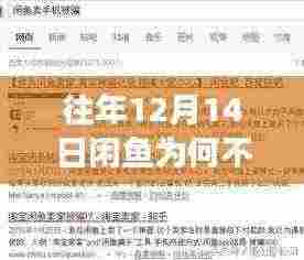 揭秘闲鱼12月14日延时到账背后的秘密与巷弄深处的小店奇遇