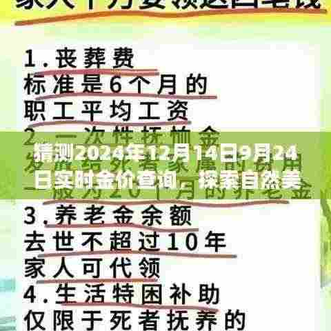黄金价格预测与探索自然美景之旅，寻找内心的宁静与平和在2024年特定日期的金价查询