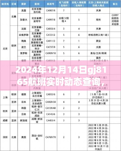 独家解析，揭秘gj8165航班实时动态查询系统深度评测与全面解读