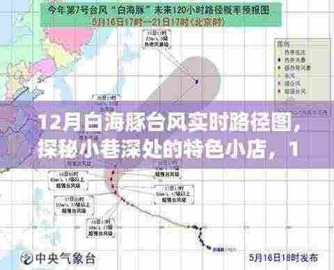 探秘特色小店与白海豚台风实时路径图的奇幻之旅