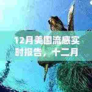 美国流感十二月报告，暖阳下的友情与陪伴之旅