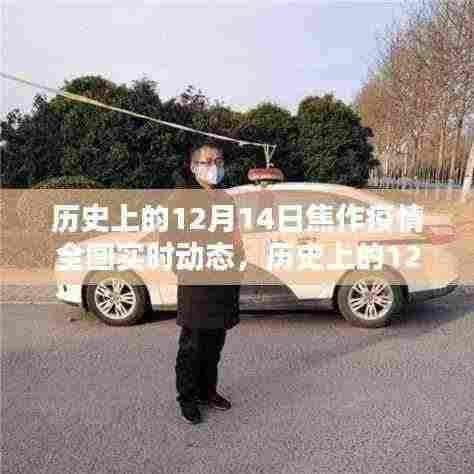 历史上的12月14日焦作疫情全图实时动态，深度评测与全面介绍